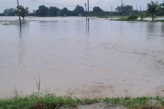 UBND tỉnh Lâm Đồng chỉ đạo các địa phương chủ động ứng phó thiên tai