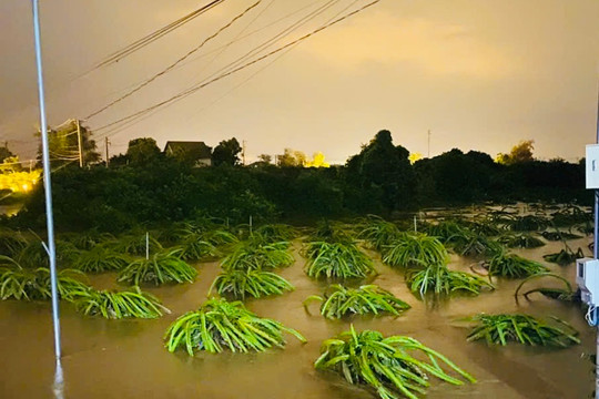 Thêm nhiều địa phương bị ảnh hưởng do mưa lũ, ước thiệt hại 13,4 tỷ đồng
