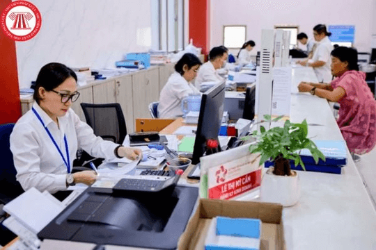 Phân công nhiệm vụ cho cấp phó của cơ quan, tổ chức trong hệ thống chính trị