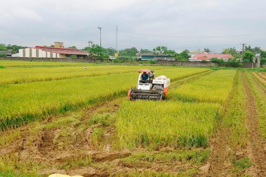 Hướng đến nền nông nghiệp xanh, bền vững