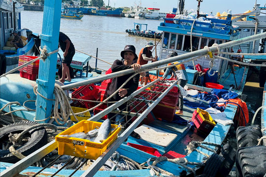 Khó gỡ “thẻ vàng” IUU khi ngư dân còn né cảng chỉ định