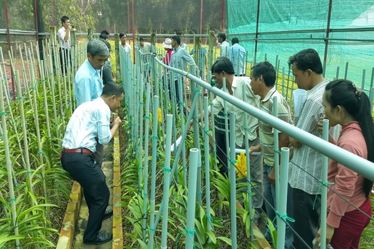 Nhà khoa học Nguyễn Minh Đông và hành trình chuyển giao kỹ thuật cho 10.000 lượt nông dân