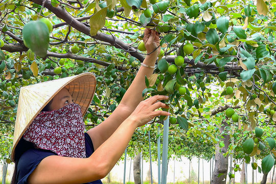 Con đường dịch vụ trên núi xuống biển