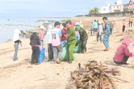 Phú Quý quyết tâm phát triển du lịch xanh, thân thiện và bền vững