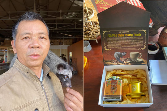 Nông dân Lâm Ðồng làm cà phê đặc sản