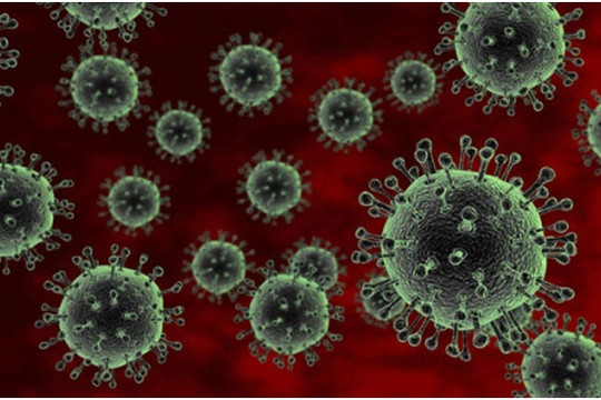 Virus RSV bùng phát nghiêm trọng tại Thái Lan