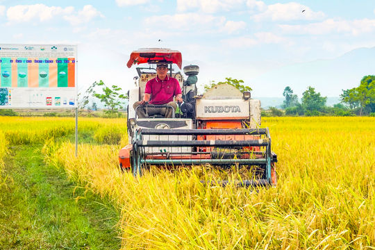 Phát huy nguồn lực, nâng cao đời sống cho đồng bào