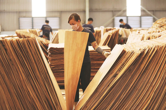 Mức thuế chống bán phá giá cho ván sợi gỗ Thái Lan và Trung Quốc từ 20/9/2025