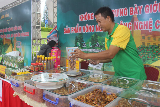 Nơi hội tụ phong vị rừng và biển