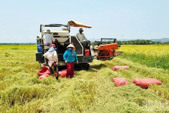 Đánh thức vùng đất khô cằn, kiến tạo một vùng nông thôn trù phú