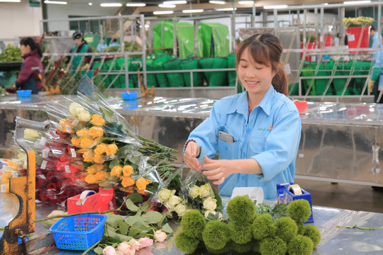 Doanh nghiệp Lâm Đồng kết nối để phát triển bền vững