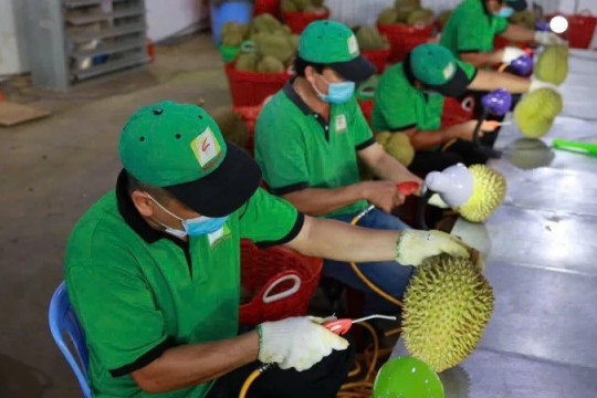 Tăng cường quản lý chất lượng nông sản xuất khẩu