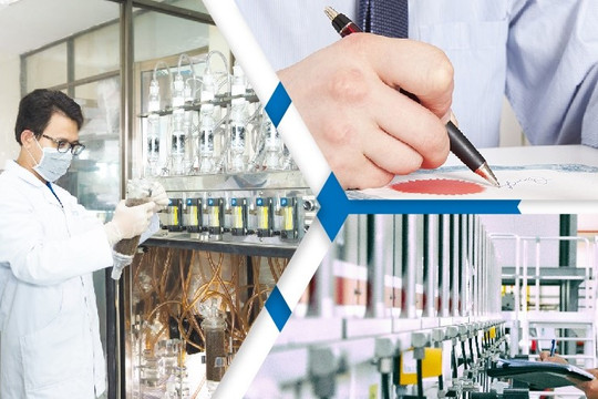 Tiền lương thưởng và phúc lợi đối với chuyên gia nước ngoài làm việc tại cơ quan nhà nước từ 19/9/2025