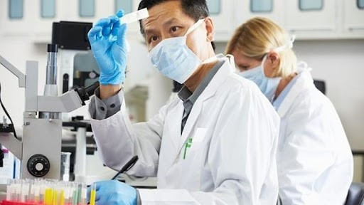 Hỗ trợ chỗ ở và phương tiện đi lại cho chuyên gia nước ngoài làm việc tại cơ quan nhà nước Việt Nam
