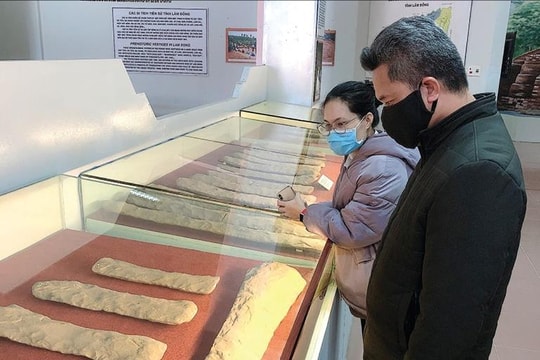 Hành trình trở về kỳ diệu của “báu vật” Lâm Đồng