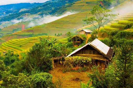 Quê hương