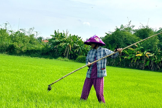 Bảo đảm cấp nước sản xuất vụ mùa năm 2025