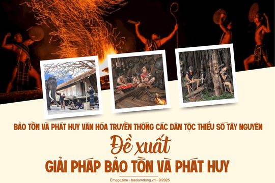 Đề xuất giải pháp bảo tồn và phát huy