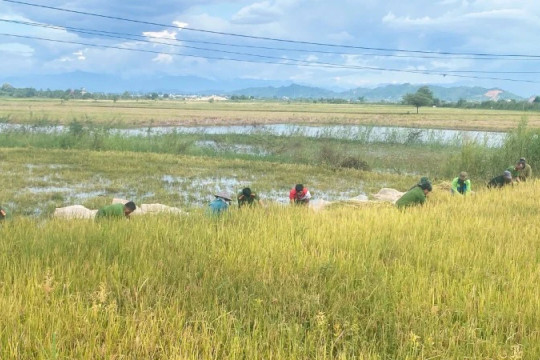 Đắk Lắk chủ động ứng phó với bão Ragasa và mưa lớn diện rộng