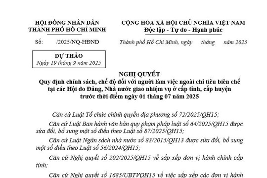 TPHCM: Đề xuất mức hỗ trợ với người ngoài biên chế tại các Hội do Đảng, Nhà nước giao nhiệm vụ ở cấp tỉnh và cấp huyện trước 01/7/2025