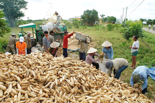 Người bạn đồng hành đáng tin cậy của đồng bào