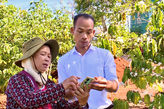 Hiệu quả mô hình "Đảng viên gắn với phát triển kinh tế" vùng ĐBDTTS