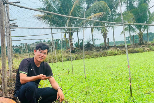 Giám đốc trẻ biến trại ốc thành điểm đến du lịch xanh