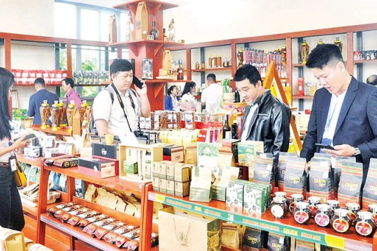 Phát huy thế mạnh du lịch canh nông