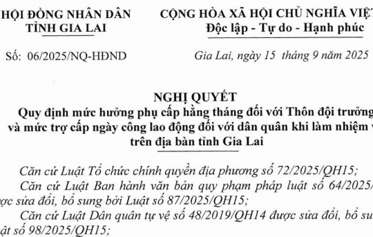 Nghị quyết 06/2025/NQ-HĐND mức phụ cấp mới đối với Thôn đội trưởng và trợ cấp dân quân tại Gia Lai