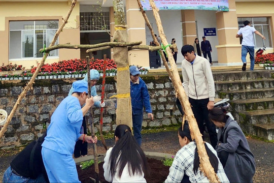 Trồng cây chào mừng Đại hội Đảng bộ tỉnh tại Bệnh viện Đa khoa Lâm Đồng