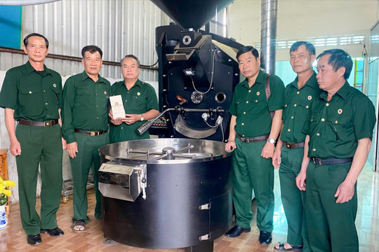 Cựu chiến binh liên kết sản xuất cà phê sạch