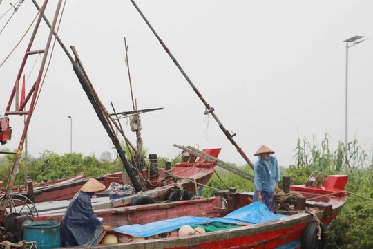 Các tỉnh, thành phố ven biển chủ động ứng phó bão số 10