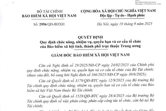 Đã có Quyết định 2965/QĐ-BHXH Quy định chức năng, nhiệm vụ, quyền hạn và cơ cấu tổ chức của Bảo hiểm xã hội tỉnh, thành phố trực thuộc Trung ương