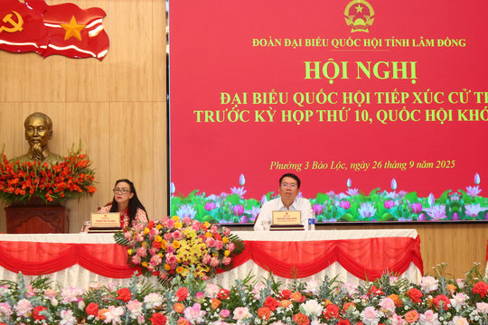 Cử tri Phường 3 Bảo Lộc kiến nghị nhiều vấn đề về dân sinh, môi trường