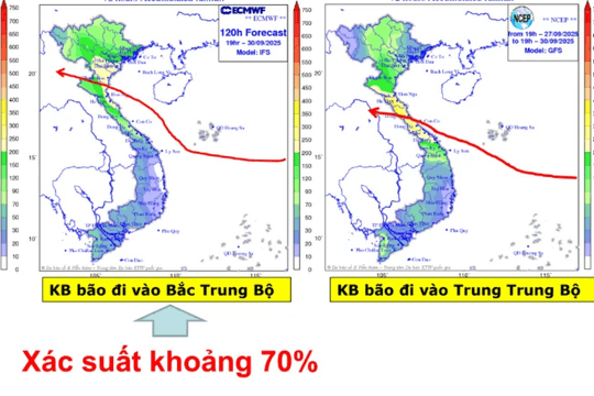 “Bão số 9 và số 10 liên tiếp đổ vào đất liền là tình huống đặc biệt nguy hiểm”