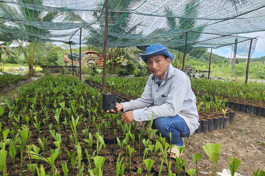 Khi nông dân linh hoạt phát triển kinh tế