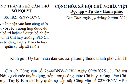 Công văn 21-CV/TU hướng dẫn Kết luận 187 về số lượng cấp phó trong hệ thống chính trị tại Quảng Ngãi
