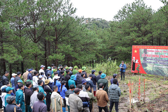Đẩy mạnh tuyên truyền Đại hội đại biểu Đảng bộ tỉnh lần thứ I