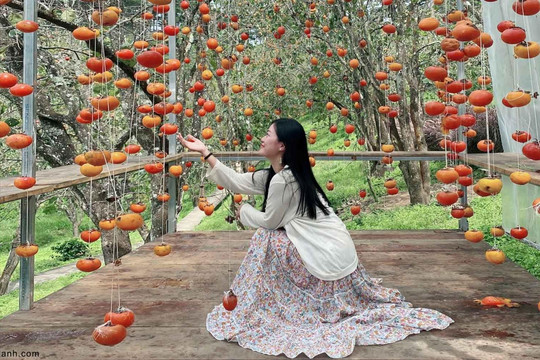 Ngọt ngào sắc thu phố núi