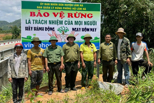 Chung sức giữ màu xanh Đam Rông