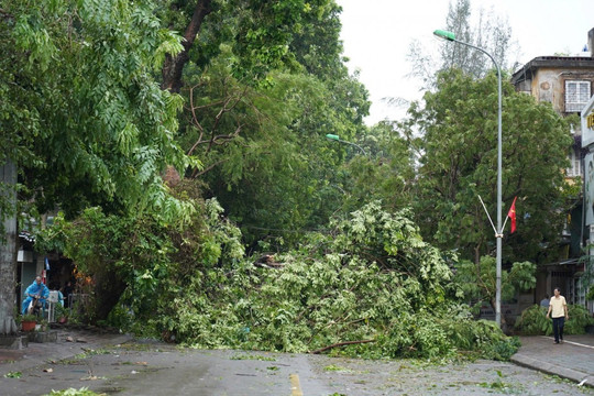 Công văn 5308/UBND-NNMT: Hà Nội tập trung ứng phó bão số 10 và mưa lũ, sạt lở đất, lũ quét