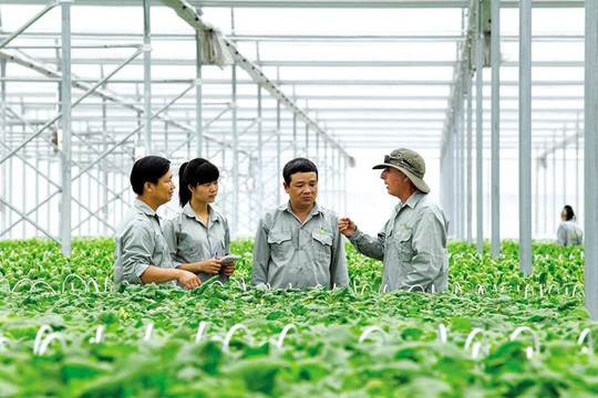 Nghị định 253: Bổ sung việc thành lập mới Quỹ hợp tác xã địa phương từ ngày 26/9/2025