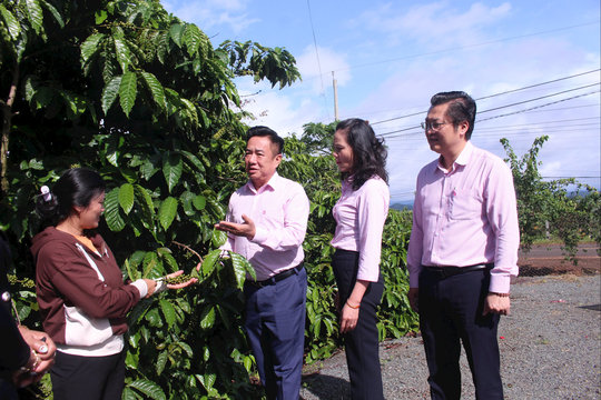 Chuyển đổi số trong nông nghiệp - góc nhìn của nhà nông