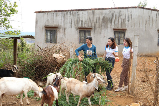 Đức An chăm lo đời sống Nhân dân, không để ai bị bỏ lại phía sau