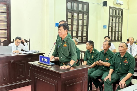 Trả hồ sơ, điều tra lại vụ 6 cựu chiến binh phạm tội phá rừng