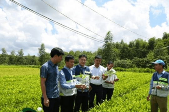 Tải về giấy đề nghị đăng ký thay đổi nội dung Giấy chứng nhận đăng ký quỹ hợp tác xã tại địa phương