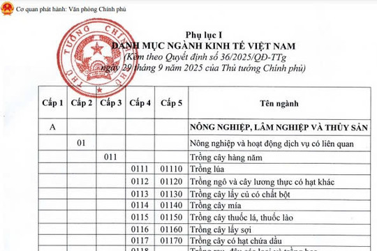 CẬP NHẬT: Bảng tra cứu Hệ thống ngành kinh tế Việt Nam từ 15/11/2025