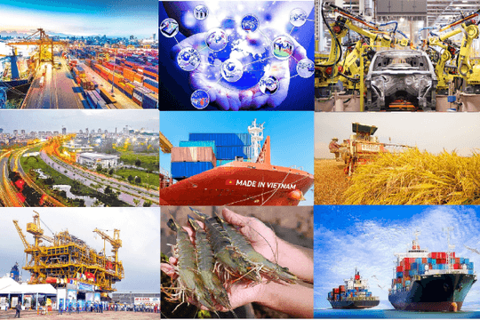 Nội dung ngành kinh tế Việt Nam từ 15/11/2025