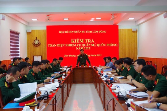 Kiểm tra nhiệm vụ quân sự tại Đơn Dương