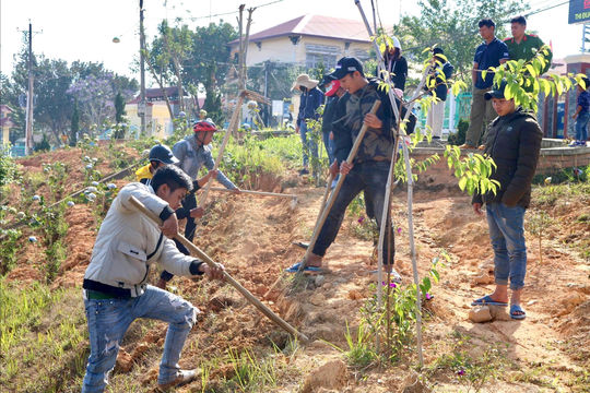 Chi bộ thôn Đa Cháy lãnh đạo xây dựng nông thôn mới kiểu mẫu